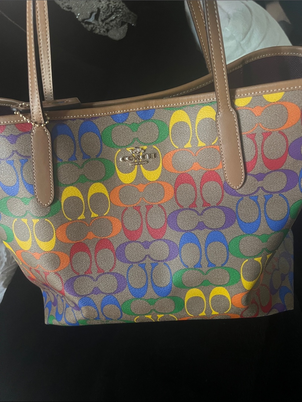Coach Rainbow Signature Canvas Tote with Brown Leather Trim